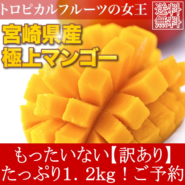 送料無料  訳あり 宮崎県産 完熟 アップルマンゴー 宮崎マンゴー 約1.2kg ご予約