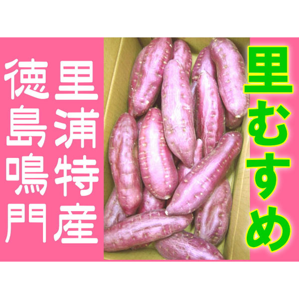 徳島鳴門里浦特産 なると金時 里むすめ 高糖度薩摩芋 サツマイモ 5kg