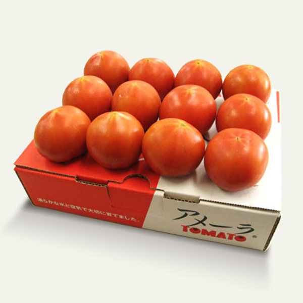 静岡県産 高糖度 フルーツトマト アメーラ 約1kg