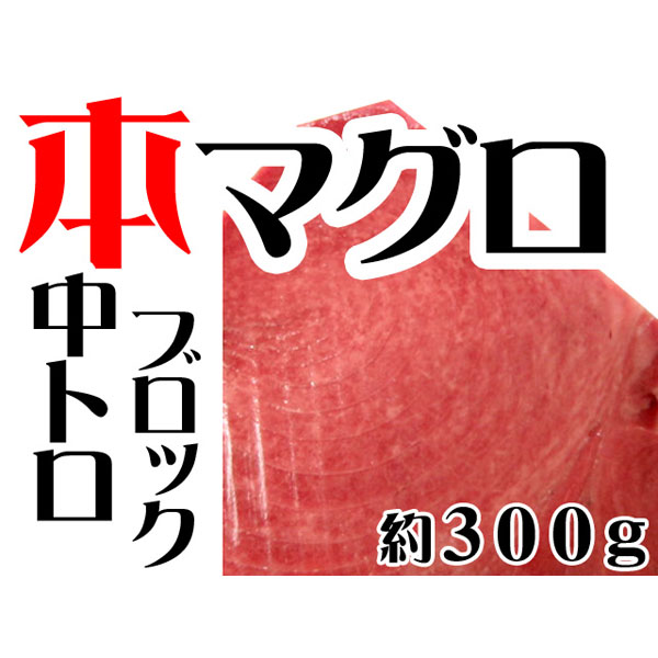 【週間特売】本マグロ(クロマグロ)中トロ約300gブロック(蓄養マグロ)　