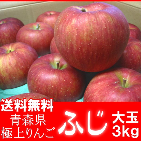 送料無料 青森県産 ふじ りんご 3kg 大玉