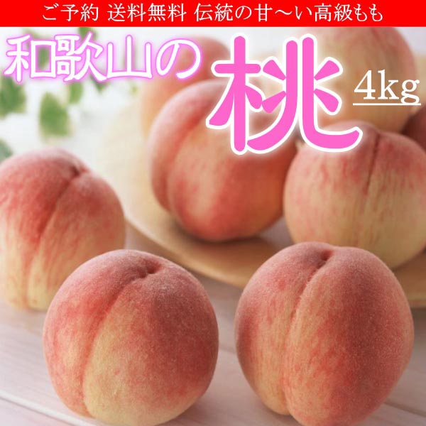 お中元 ギフト 和歌山の桃 もも モモ 4kg 化粧箱 送料無料 ご予約
