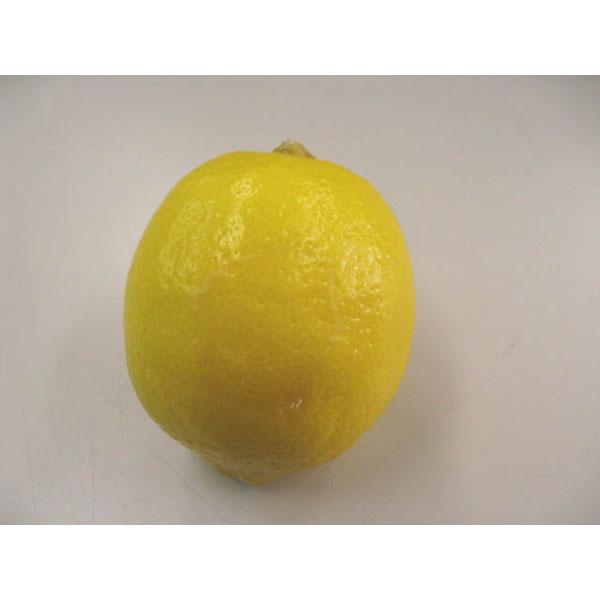 日常の一般野菜 レモン 1玉