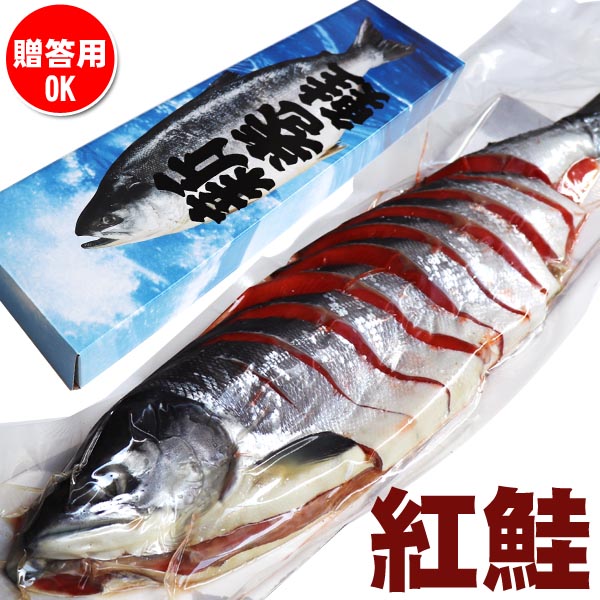 送料無料 天然 紅鮭 (紅サケ) 化粧箱入 手切り 姿切身 1尾 (約1kg)
