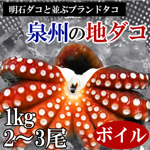 【週間特売】泉州 地タコ(蛸 たこ) 1kg